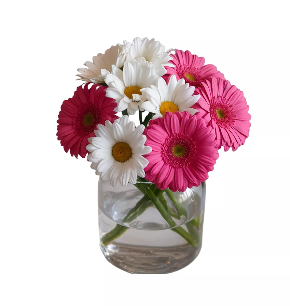 Pink and White Gerberas Bouquet