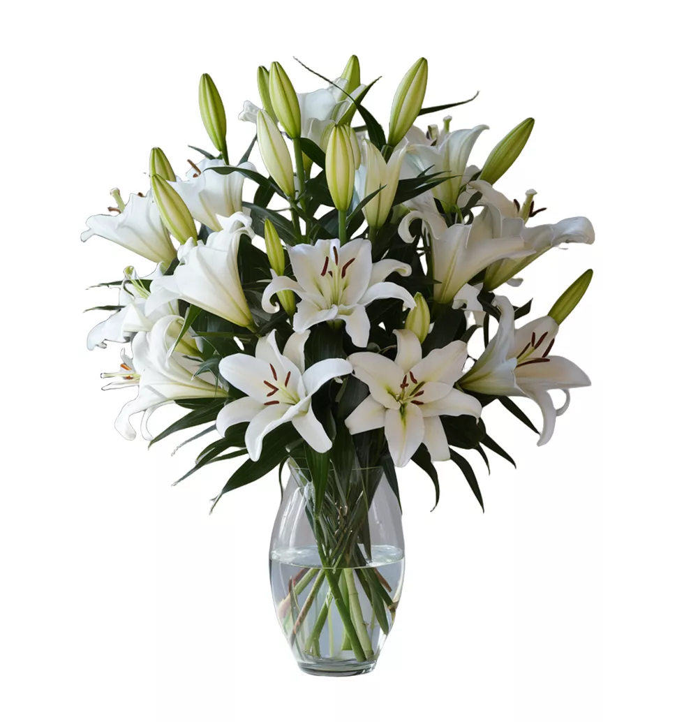 Cute Bouquet of 12 Oriental Lilies