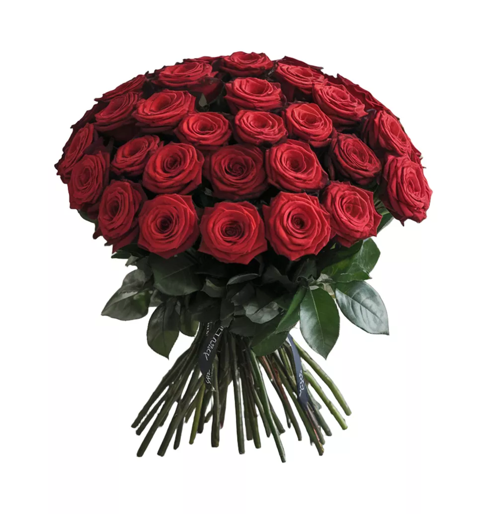 Timeless Love: Red Roses Bouquet