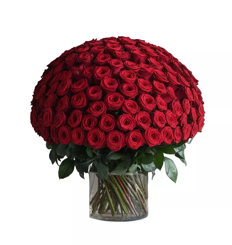 Vibrant 100 Long Stem Roses Bouquet