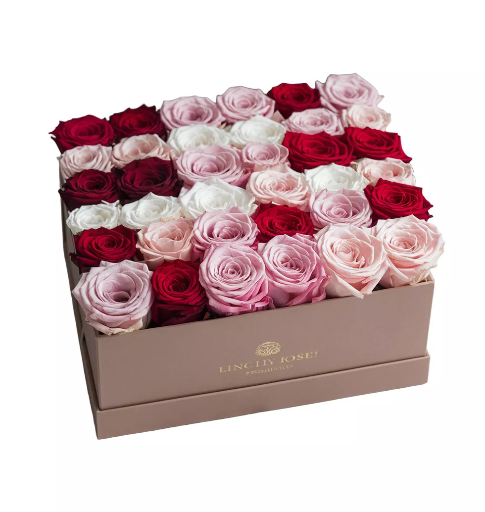 Stunning Presentation of 24 Premium Roses