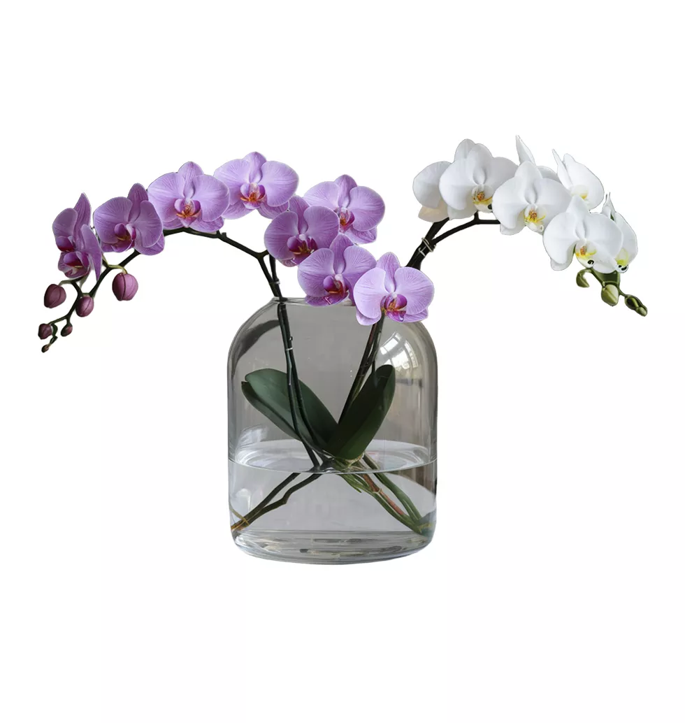 Stunning Vase of Mixed Orchids Arrangement