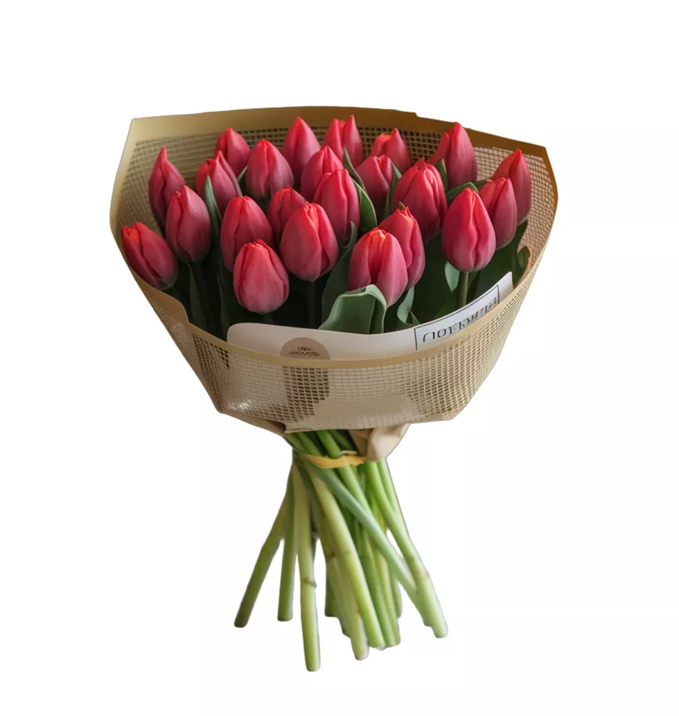 Beautifully Packaged 25 Tulip Bouquet