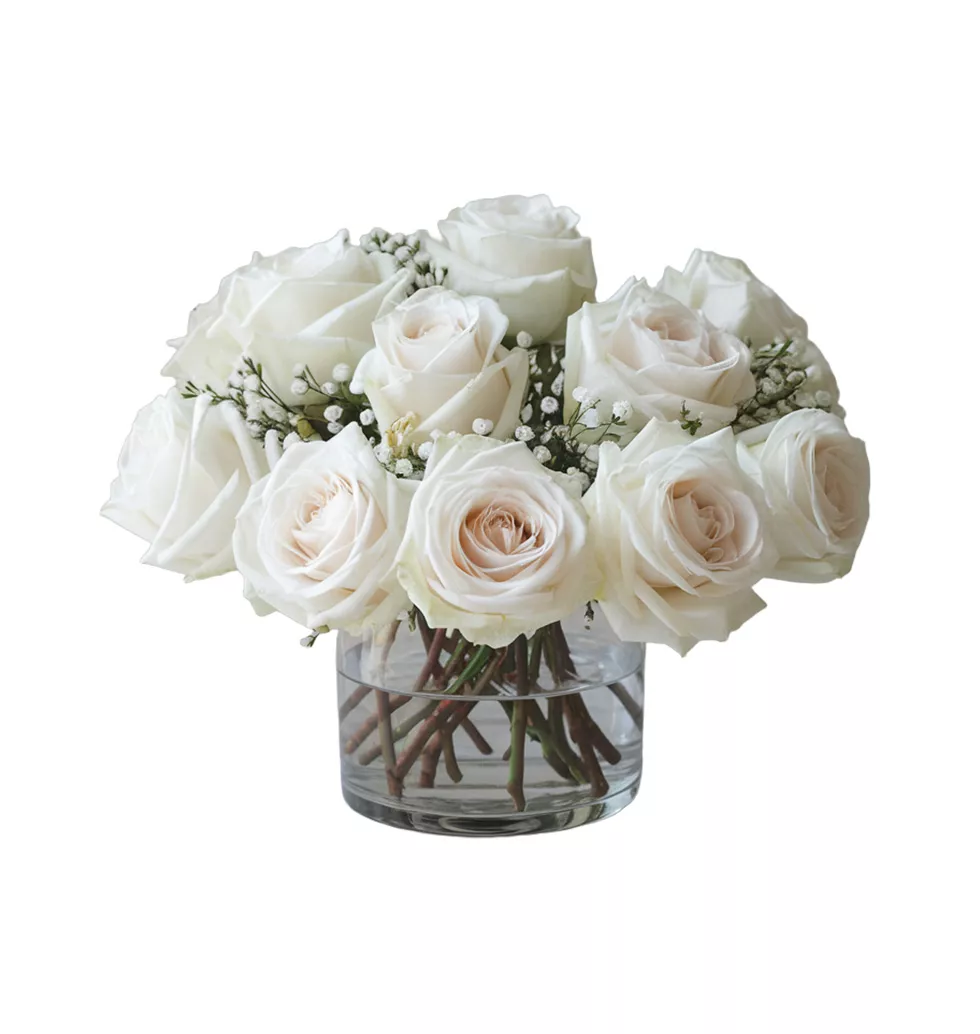 Classic 12 White Rose Arrangement